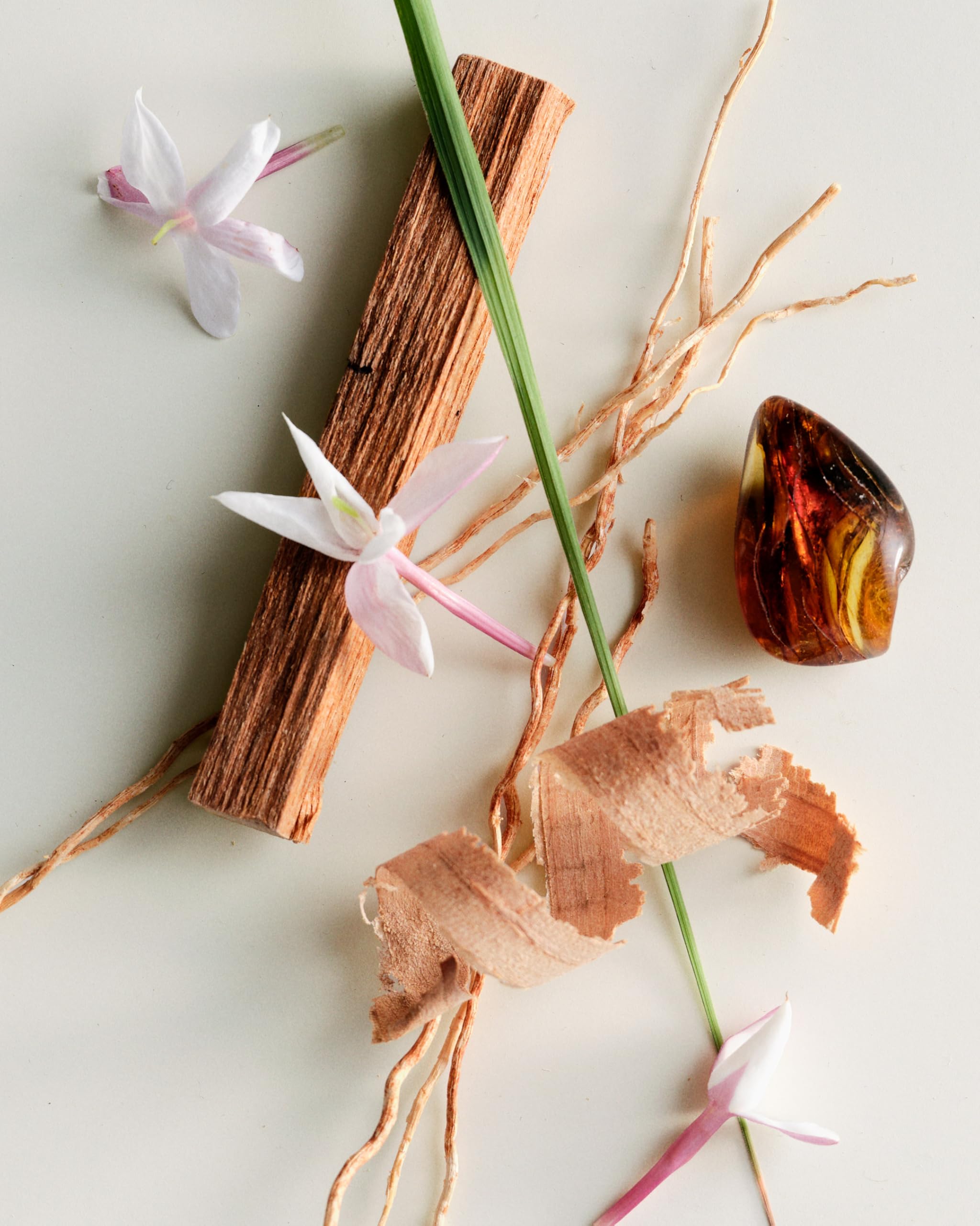 〈新品〉Maison Louis Marie No.04 ホリデーセット 61VIa0KsRhL._AC_UF350,